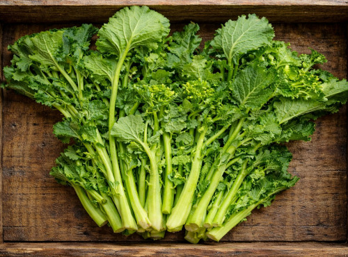 Nature et Saveurs - Ferme Aquaponique et Permacole Astérienne - Cima di Rapa – feuilles, cardes et boutons floraux
