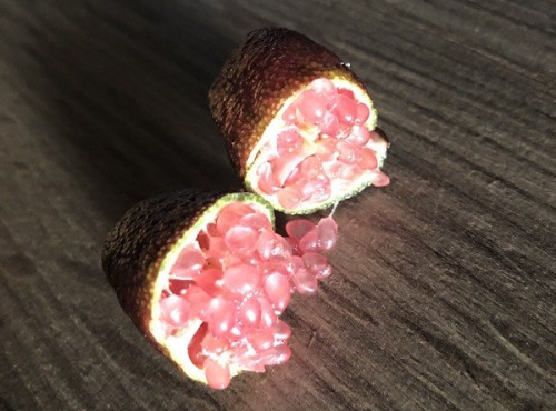 Les Hespérides - Coopérative de la Riviera Française - Citron caviar (rick's red, mia rose) 200g