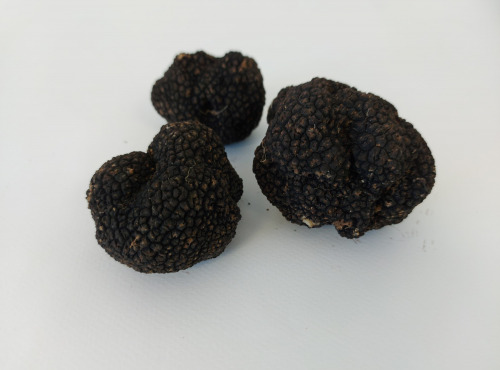 ALENA la Truffe d'Aquitaine - Truffe d'été (tuber aestivum) fraîche - 100 g