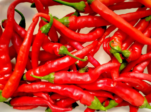 Nature et Saveurs - Ferme Aquaponique et Permacole Astérienne - Piment de Cayenne – Allongé, ardent et plein de caractère