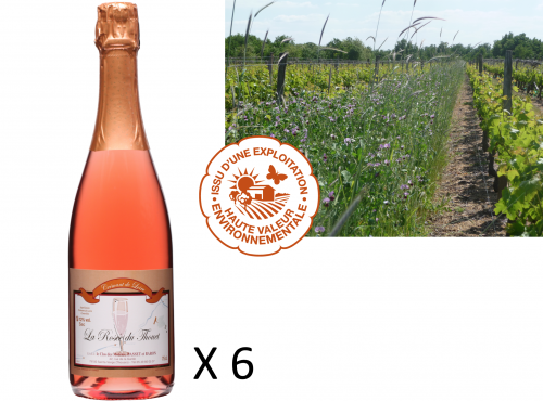Château de Belleville Maison Baron - AOC Crémant De Loire Rosé Sec 6 Bouteilles