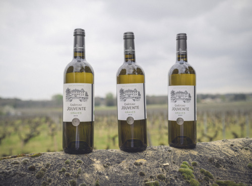 Château Jouvente - Vin de Graves blanc - Verticale de Château Jouvente