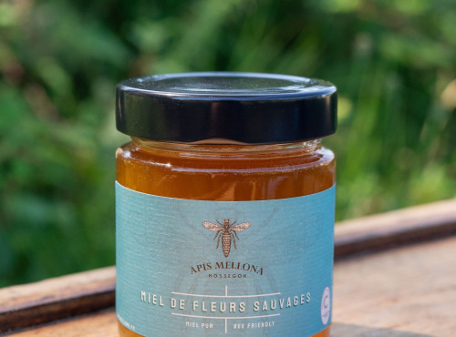 Apis Mellona - Miel de fleurs sauvages 350g