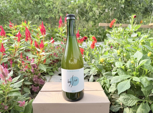 Nature et Saveurs - Ferme Aquaponique et Permacole Astérienne - Kombucha Brut Bio Bysco - 75cl