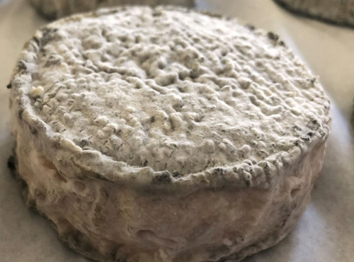 La Guyotte Ferme Bressane - Le Cendré de la Guyotte, tendre et crémeux 160g