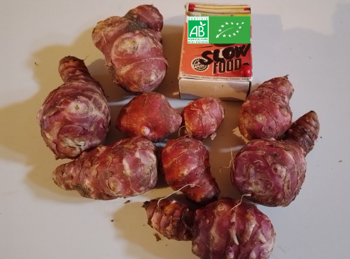 LES JARDINS DE KARINE - Topinambour rose - 500g