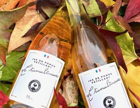 Ferme du Gros Caillou - Le Tumultueux (jus de pomme pétillant) - 6 bouteilles - 75cl
