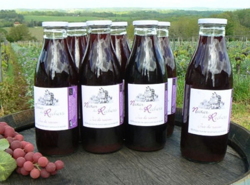 Château des Rochers - Jus de raisin - 6x75cl