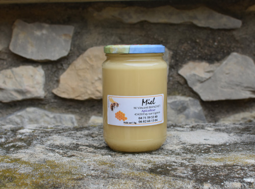 La Truite du Mézenc - Miel de Lavande crémeux - 1kg