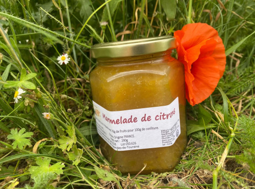 Des Poules et des Vignes à Bourgueil - Marmelade de Citron