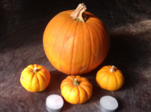 Multiproductions - Cédric Joliveau - Panier de Courges 100% Halloween