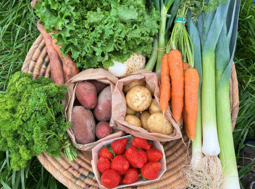 Les Champs Paradis - Panier surprise légumes de saison