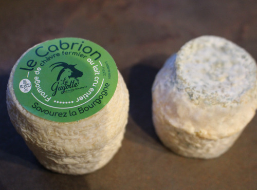 La Guyotte Ferme Bressane - Le cabrion de la Guyotte par 12