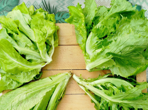 Nature et Saveurs - Ferme Aquaponique et Permacole Astérienne - Laitues jeunes en mélange - 2 pièces