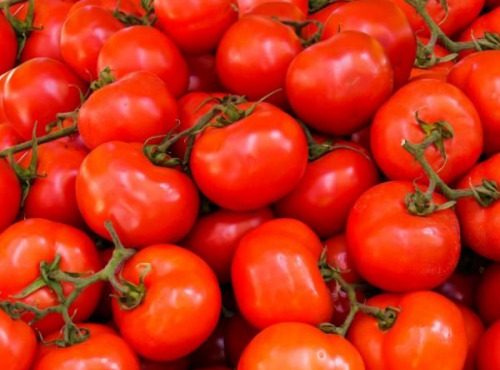 Les Herbes du Roussillon - Tomates rondes producteur-500gr