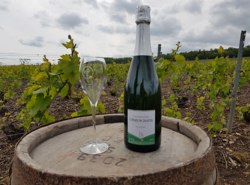 Champagne Deneufchatel - Champagne Deneufchatel Brut Tradition 1 X 75 Cl