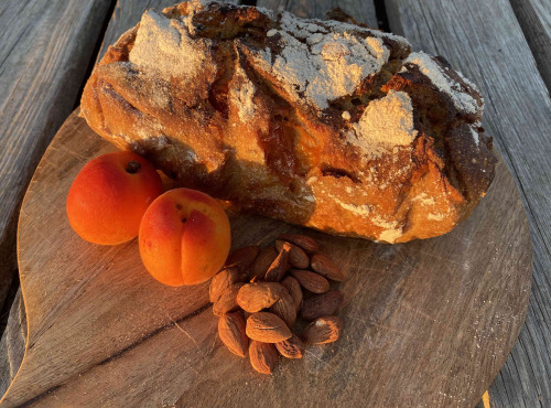 Ferme Sinsac - Pain d'été (abricots rotis au romarin et amandes grillés)