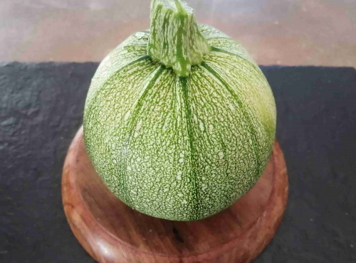 Ferme de Carcouet - Courgettes Ronde de Nice Bio - 500g