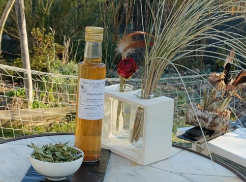 Rébecca les Jolies Fleurs - Infusion de verveine au vinaigre de cidre bio