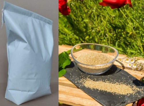 BERRY GRAINES - Quinoa Blanc Origine France (berry) - 25 Kg