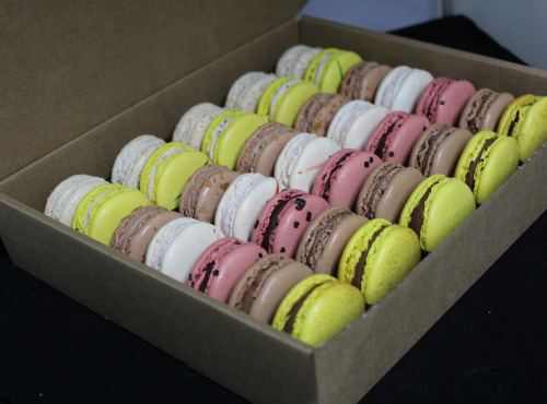 Les Macarondises - 35 Macarons Chocolatés
