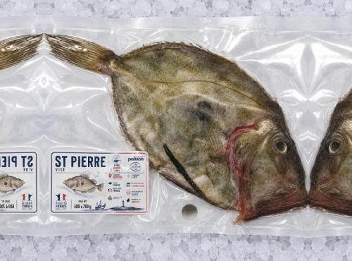 Mon Petit Poisson - Saint-Pierre vidé français – 500 à 700 g