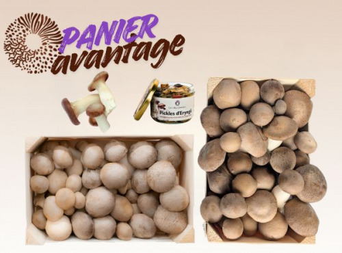 Les Myconautes - Panier Myconautes champignons bio - Avantage
