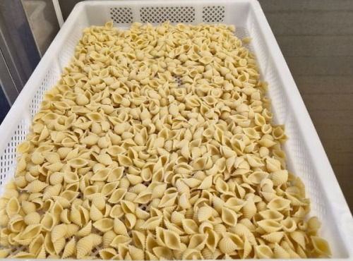 Lioravi, l'authentique pâte fraîche ! - [Précommande] Pâtes Fraîches - Conchiglie Bio - 1kg