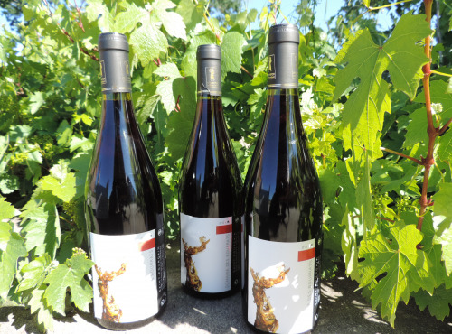 Domaine des Bourrats - Saint Pourçain AOC Rouge Tradition - 3 bouteilles