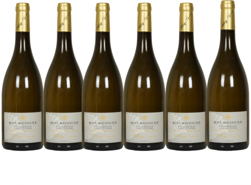 Domaine Tupinier Philippe - Bourgogne Chardonnay ''Vieilles Vignes'' 12 Bouteilles 75cl