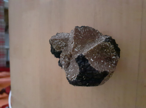 Les Vergers de la Vautée - Truffe de Bourgogne fraîche
