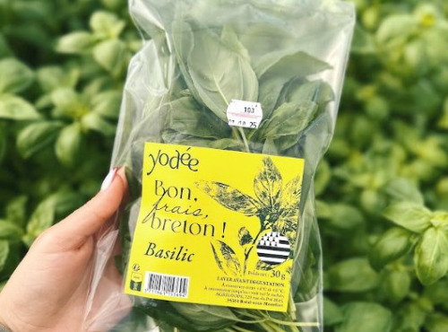 Agriloops - Basilic Breton - 30 g
