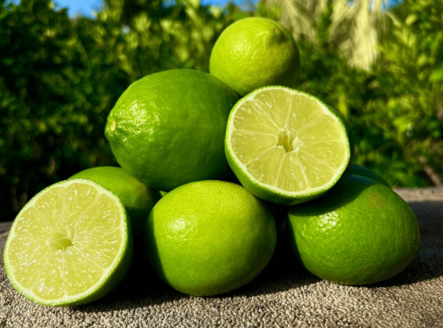 Maison Gannac - Citron Vert - Lime de Tahiti - 1kg