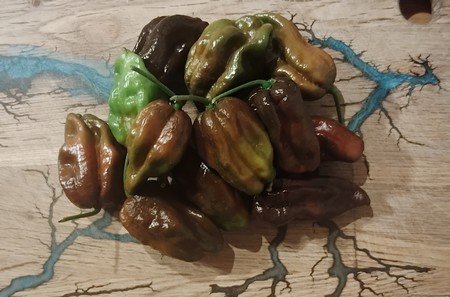 HERBA HUMANA - Assortiment de piment frais de force 1, 4, 7 et 10 - 154g