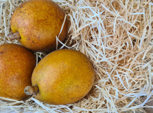 Le Châtaignier - poire BIO Elliot
