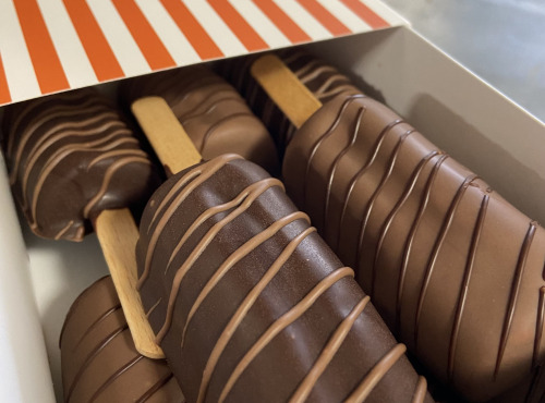 Les Garçons Glaciers - Lot de 8 eskimauves Chocolat Noir BIO