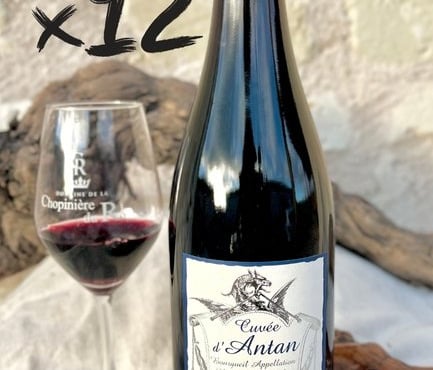 Domaine de la Chopinière du Roy - PROMO 10 % - 12 bouteilles d'Antan 2022 vin rouge Bourgueil - 12 x 75 cl