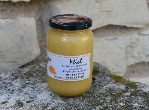 La Truite du Mézenc - Miel de fleurs crémeux - 500g