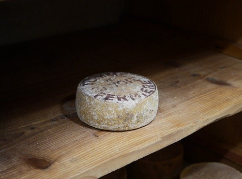 Alléosse Maitre Artisan Affineur Fromager - Tomme de Savoie fermière IGP