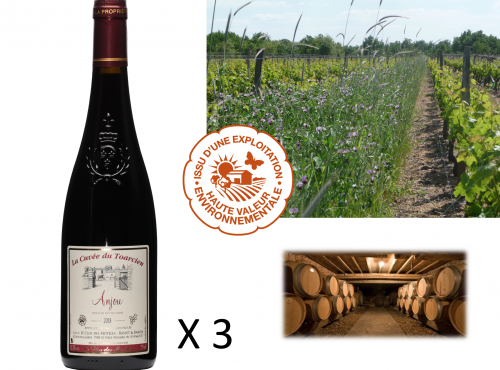 Château de Belleville Maison Baron - Aoc Anjou Rouge 2019 : Cuvée Du Toarcien. 3 Bouteilles