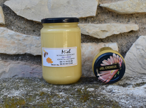 La Truite du Mézenc - Miel de fleurs crémeux - 1kg