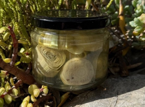 L’Oliveraie du Coudon - Cœurs d'artichauts nature 10/12 pièces 290GR
