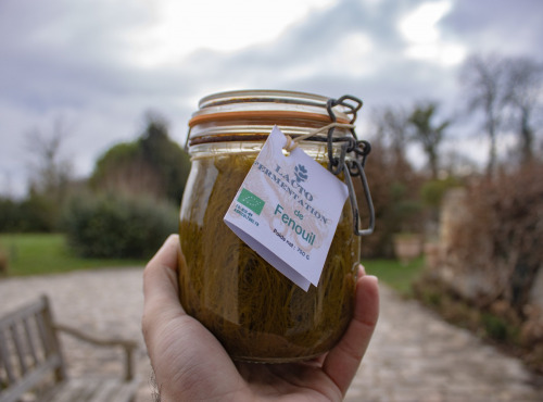 ChâteauFer - Lacto de fenouil 750g