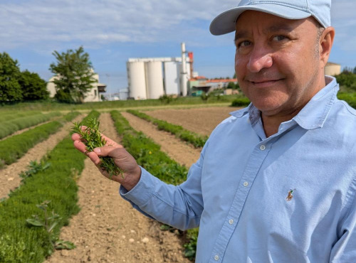 La Brigade des Epices - Herbes de Provence - Cultivées et Récoltées en Bourgogne - 35g