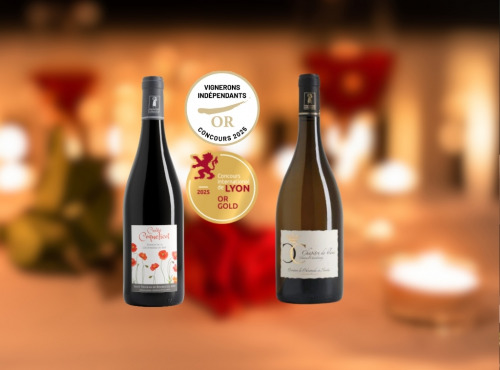 Domaine de la Chopinière du Roy - À deux c’est mieux - Coffret Duo vin de Loire Rouge et Blanc aromatique pour couple - 2 x 75 cl