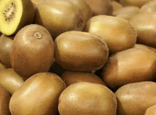 L'OLIVERAIE DU COUDON - Kiwis JAUNE  3kg cat2 PROMOTION