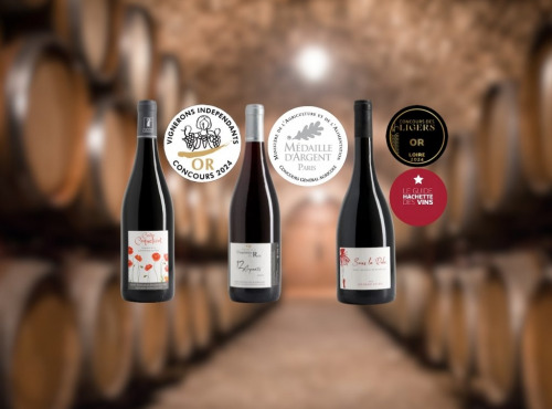 Domaine de la Chopinière du Roy - Coffret Or et Argent - 3 bouteilles de vins rouges Saint Nicolas de Bourgueil médaillés - 3 x 75 cl