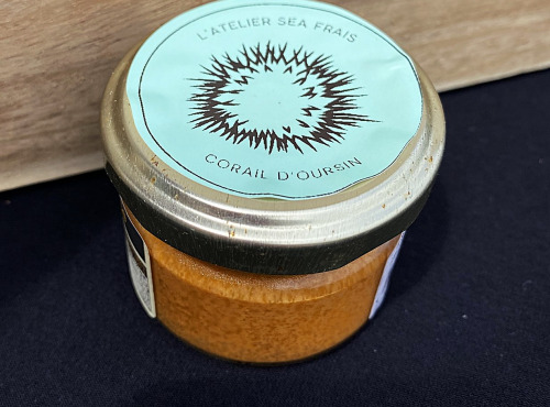 L'atelier Sea Frais - Corail d'oursin