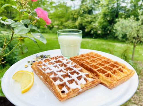 Ferme Sereine en Périgord - lot de 12 GAUFRES recette de BRUXELLES, déjà cuites, surgelés