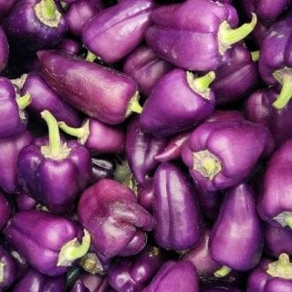 ChâteauFer - Poivron - Paprika Violet 400g